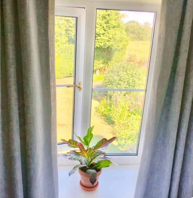 Cosy Farmhouse Escape In Monmouthshire Vila Wolves Newton Exterior foto